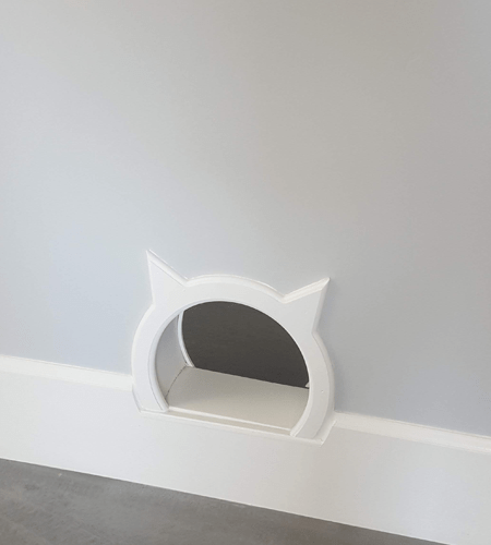 Custom Cat Door